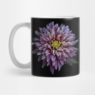 Chrysanthemum Autumnal Flower Closeup Mug